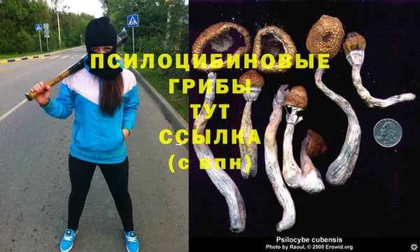 гашик Богородск