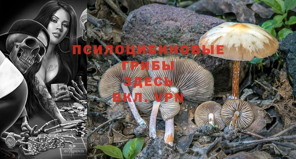 винт Белокуриха