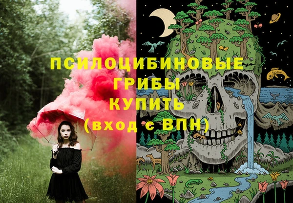 спайс Богданович