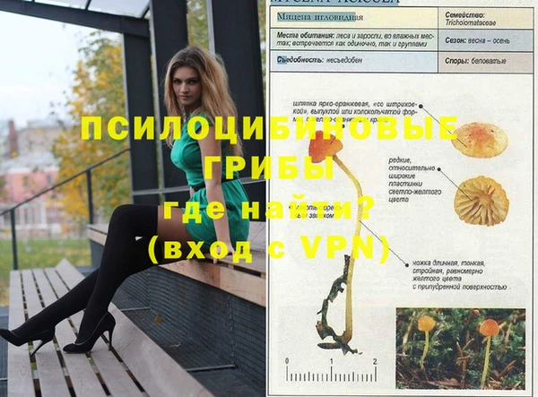 хмурый Белоозёрский
