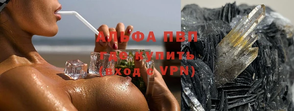 спайс Богданович