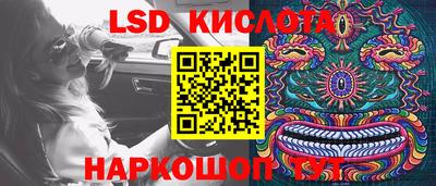 крисы Заводоуковск
